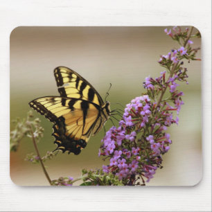 Borboleta Mousepad
