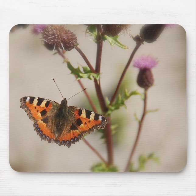 Borboleta Mousepad (Frente)