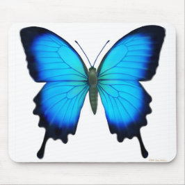 Borboleta Mousepad de Papilio Ulysses