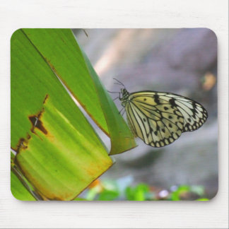 Borboleta Mousepad do papel de arroz da ninfa da