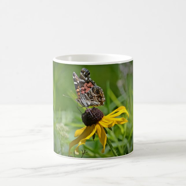 Borboleta Na Caneca Da Flor (Centro)