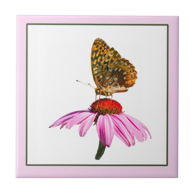 Borboleta Na Flor De Cone Purple (Frente)
