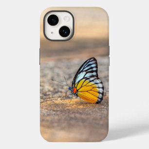 Borboleta na praia