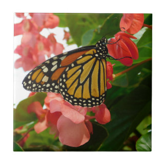 Borboleta no Azulejo cerâmico Flores Vermelhas