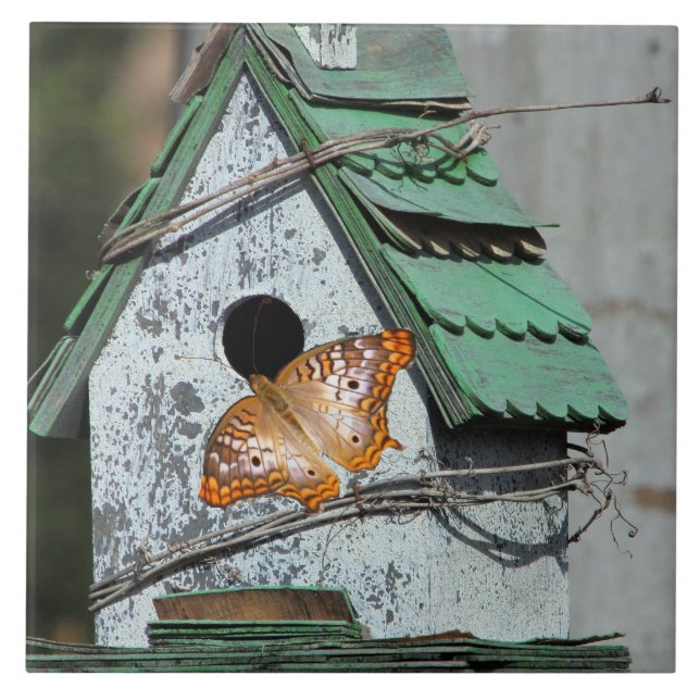 Borboleta no Azulejo de Birdhouse (Frente)