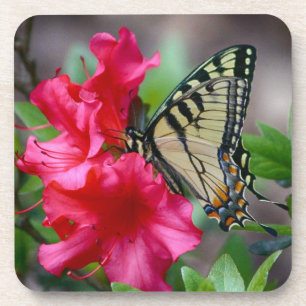 Borboleta no grupo da porta copos das flores do