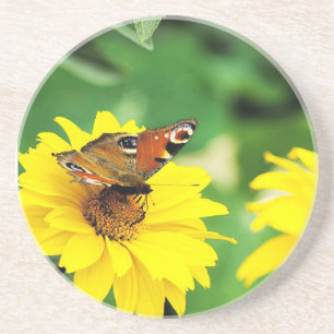 Borboleta - Porta copos