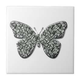 Borboleta Preta E Branca Elegante