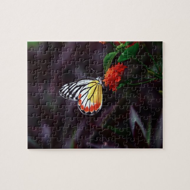 Borboleta - quebra-cabeça (Horizontal)