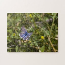 Borboleta Quebra-cabeça 3