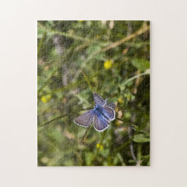 Borboleta Quebra-cabeça 3