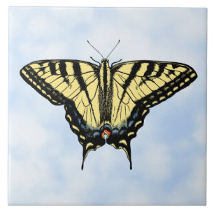 Borboleta Rabo de Andorinha Amarela no Céu Azul Pe