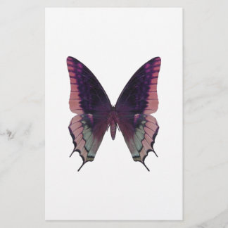 Borboleta Rosa Detalhada