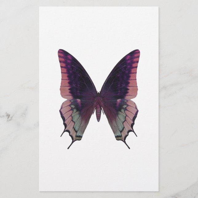 Borboleta Rosa Detalhada (Frente)