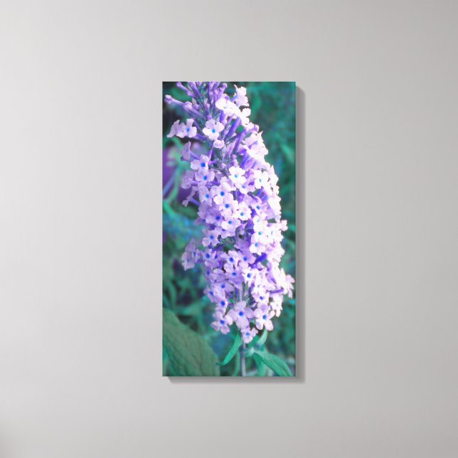 Borboleta Roxa Canvas Bush (Frente)