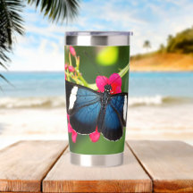 Borboleta Sara Longwing em Flores Vermelhas