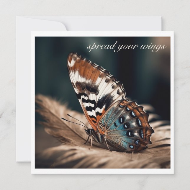 Borboleta sentada sobre uma pena macia (Frente)