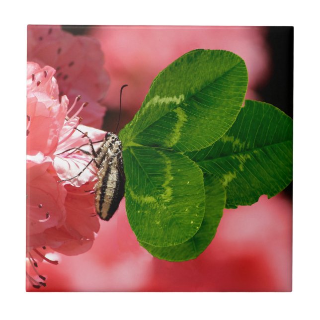 Borboleta Sortuda (Frente)