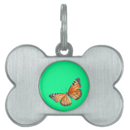 Borboleta verde lima