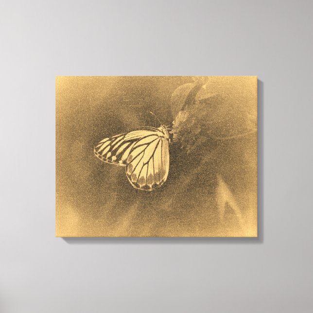 Borboleta Vintage na Canvas do Flor (Frente)