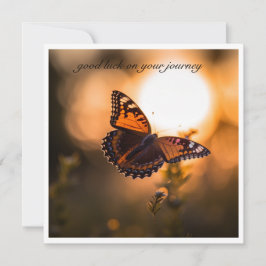 Borboleta voando no pôr do sol, personalizável