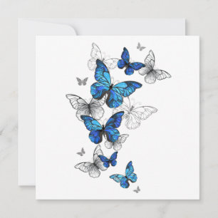 Borboletas Azuis Morpho