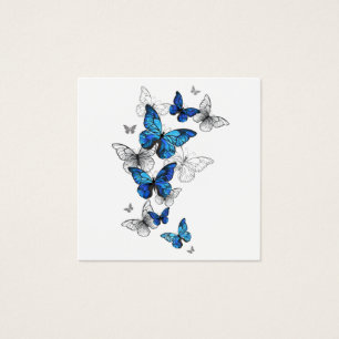 Borboletas Azuis Morpho