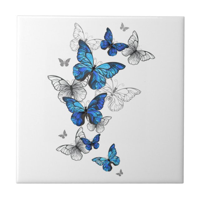 Borboletas Azuis Voadoras Morpho (Frente)