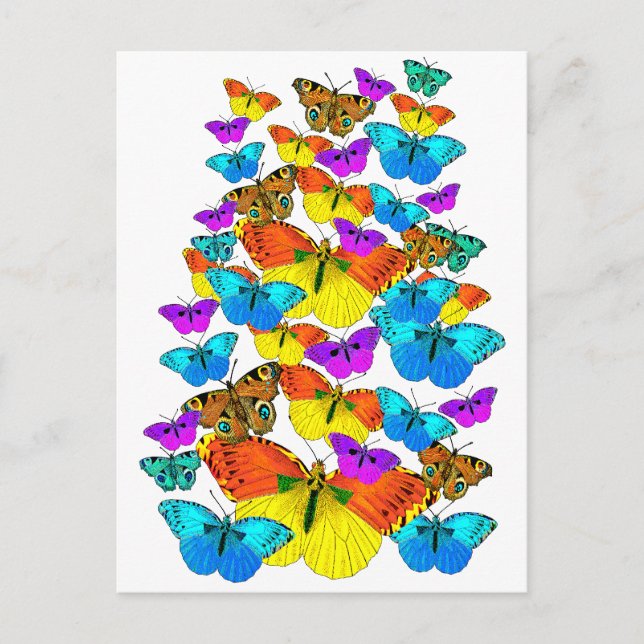 Borboletas! Borboletas! Cartão Postal (Frente)