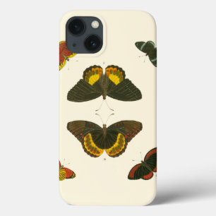 Borboletas Brilhantes por Pieter Cramer