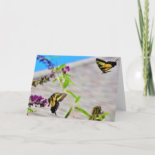 Borboletas, cartão (Frente)