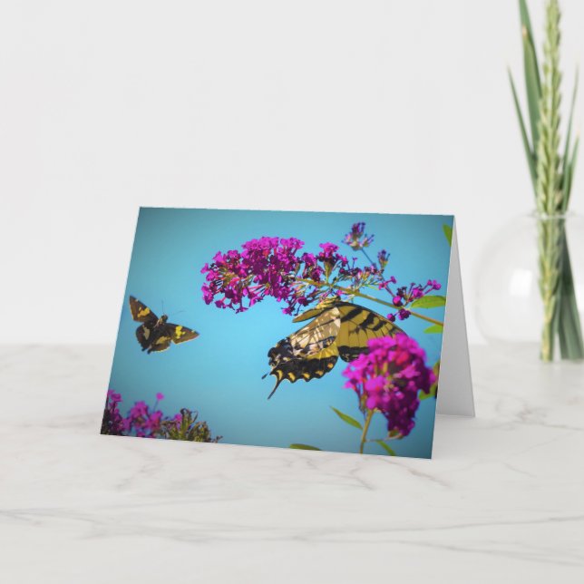 Borboletas, cartão (Frente)