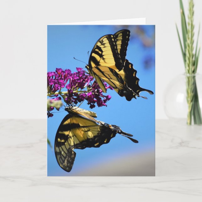 Borboletas, cartão (Frente)
