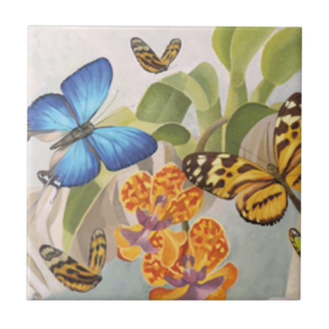 Borboletas e azulejo da orquídea (Frente)