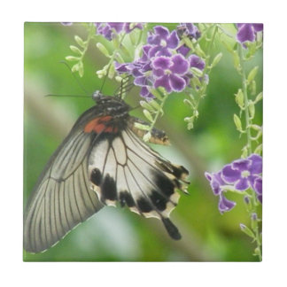 Borboletas e azulejo das flores