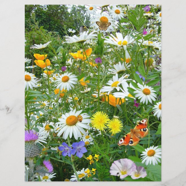 Borboletas e flores selvagens (Frente)