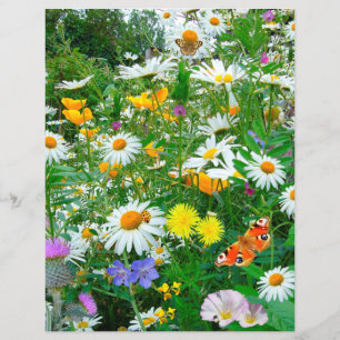 Borboletas e flores selvagens