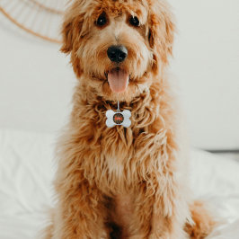 Borboletas Monarcas com Cor Múltipla - Preto