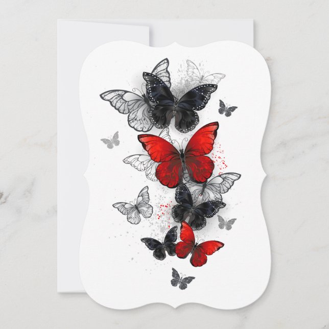 Borboletas Morpho Pretas e Vermelhas Voando (Frente)