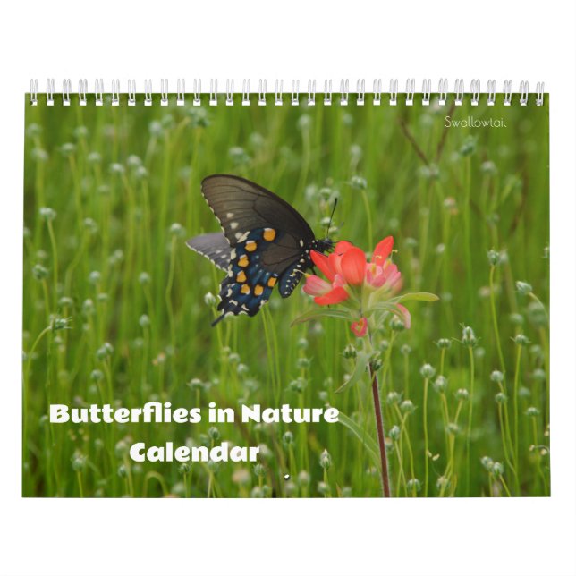 Borboletas no Calendário Natureza (Capa)