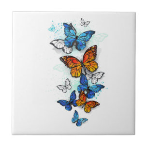 Borboletas voadoras Morpho e Monarca