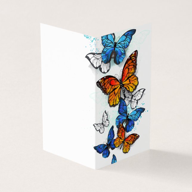 Borboletas voadoras Morpho e Monarca (Exterior)