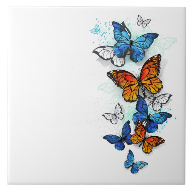 Borboletas voadoras Morpho e Monarca (Frente)