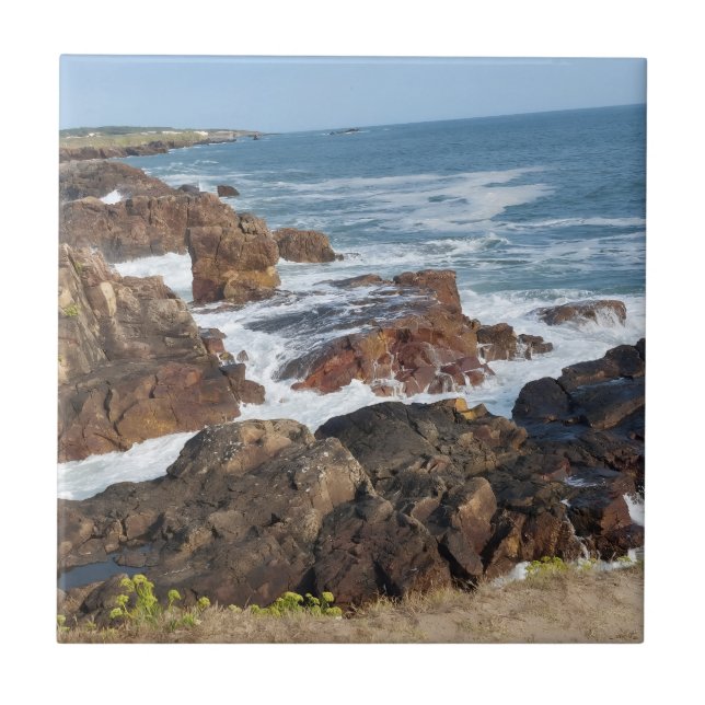 Bord de mer français en Vendée (Frente)