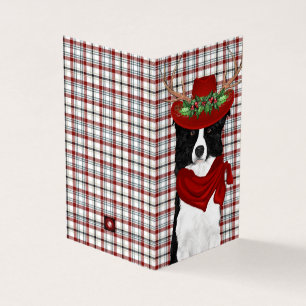 Borda Cachorro de Natal Collie com Xadrez Ocidenta