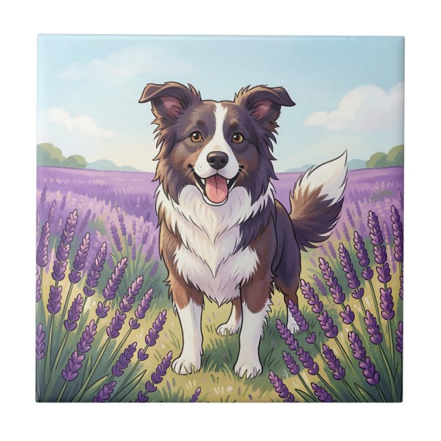 Borda Collie Feliz Campo de Lavanda (Frente)