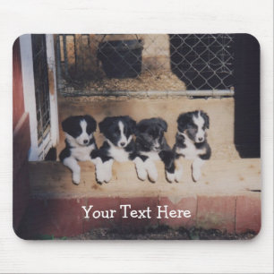Borda Collie Puppies Dog Mousepad