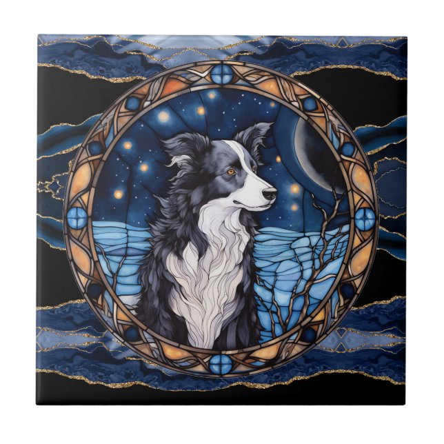 Borda Collies em uma Noite Estrelada (Frente)