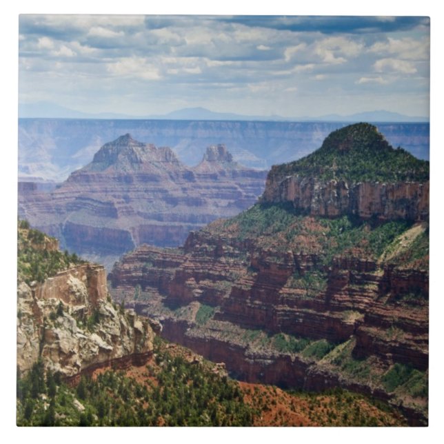 Borda Norte Gran Canyon - Parque Nacional Grand Ca (Frente)