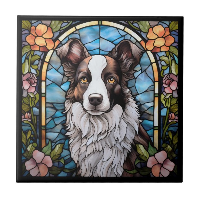 Border Collie (Frente)